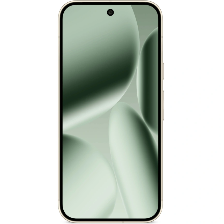 Смартфон Google Pixel 10 Pro XL 16/512Gb Jade фото 3